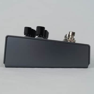 Strymon Timeline - Delay, Looper image 4