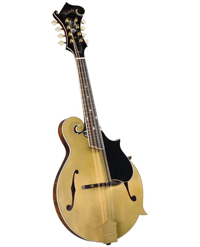 Kentucky KM-858 Artist F-model Mandolin – Gold Top image 1