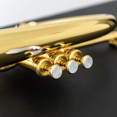 Yamaha YFH-8310ZII Bobby Shew Bb Flugelhorn (SN 4741xx) image 9