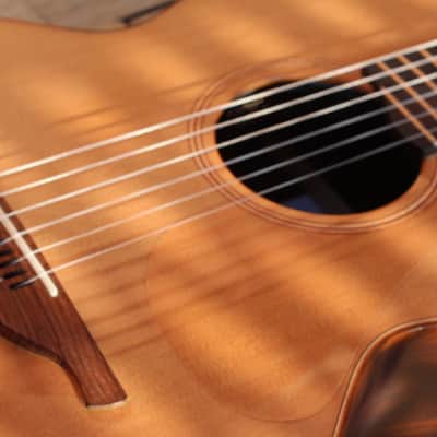 Lowden S25j 2020 - Nylon image 12