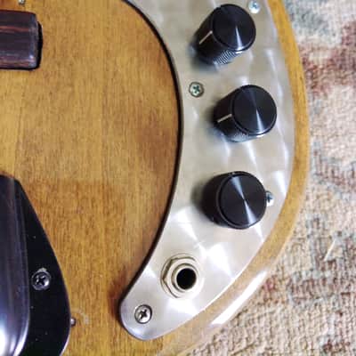 1973 Fender Precision Bass With Fretless Rosewood Fingerboard image 7