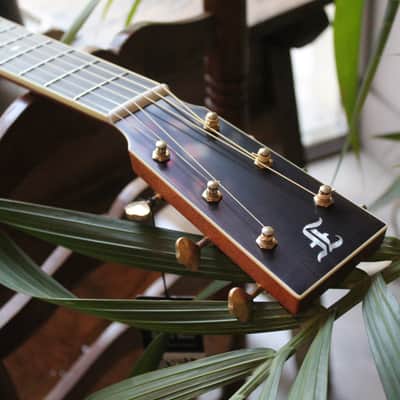 FURCH "Vintage 2 OM SR" HARDCASE image 12