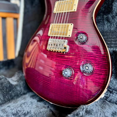 PRS 25th Anniversary Custom 24 10-Top 2010 - Angry Larry image 11