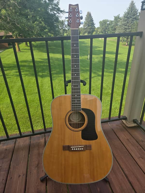 Washburn WD10S Acoustic Guitar | Reverb