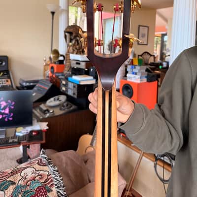Alembic Classico 2012 Coco Bolo image 5