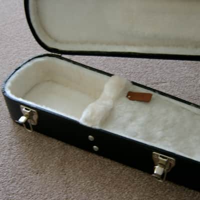 Gibson Buckethead Signature/Studio Les Paul Guitar Hardshell Case image 4