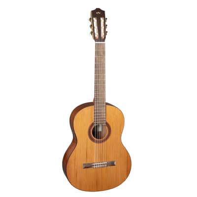 Cordoba C5 CD - 4/4 classical guitar image 1