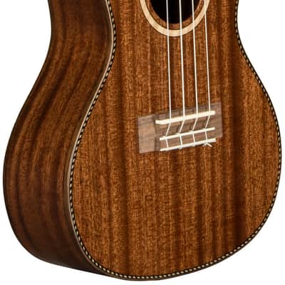 Lanikai MAS-C Ukulele Konzert image 3