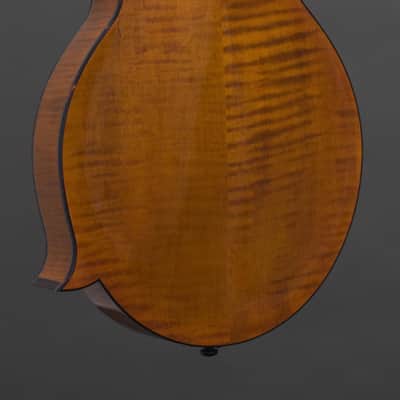 Northfield Big Mon w/ Engelmann Top in Amber (#B260885) image 12