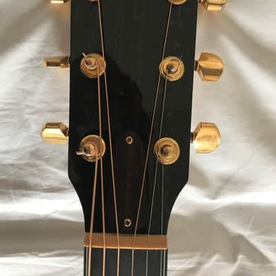 Taylor Koa K22 ex Lloyd Cole image 4