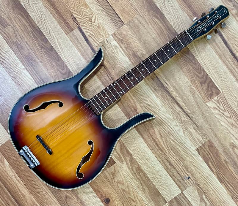 Very Rare Danelectro Longhorn Acoustic image 1