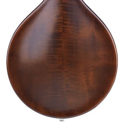 Weber Gallatin A14-O Mandolin image 4