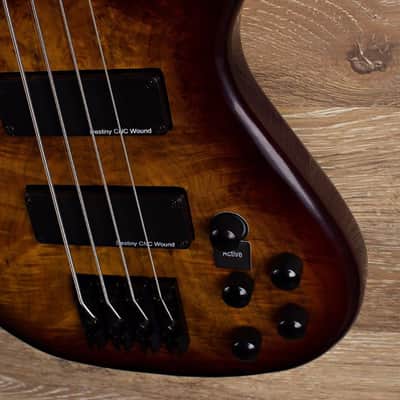 Wolf S8 4 Sunburst 2017 Sunburst image 2