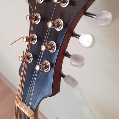 Gibson f2 1914 image 8