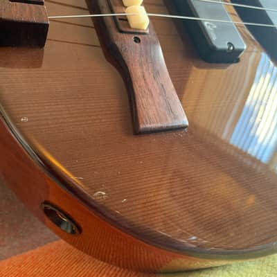 Citron AE5 Swallow Custom 2014 Dark brown image 6