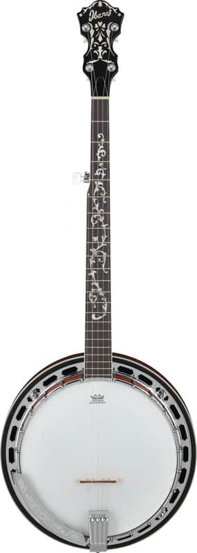 Ibanez B200 Banjo 5-String image 1