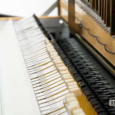 Fender Rhodes Stage 73 MK2 Electric Piano image 20