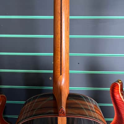 Dowina Custom Build Grand Auditorium 2021 Hand Made Acoustic Guitar image 10