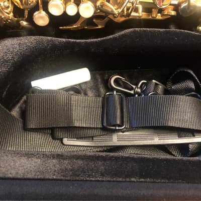 Apollo AAS 23 Student Alto Saxophone - Gold Lacquer image 11