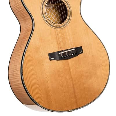 Cort Gold-Passion Natural Gloss w/Case image 2