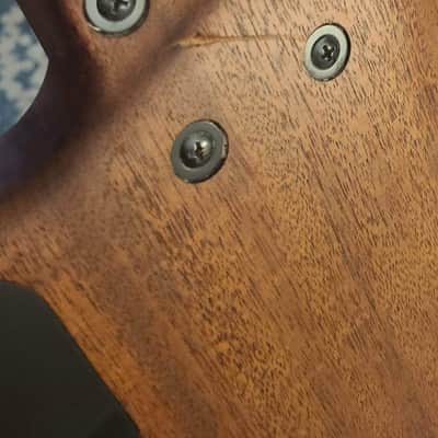 2006 Peavey Cirrus V USA Mahogany image 7