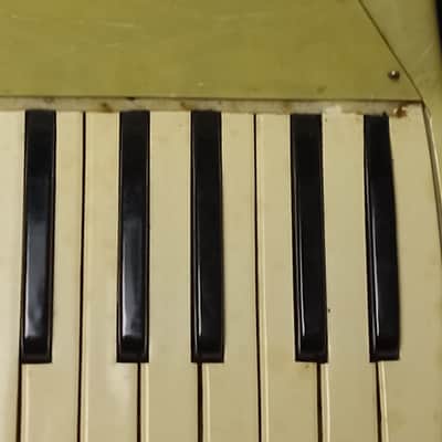 Salanti Vintage Accordion serial G100 image 10