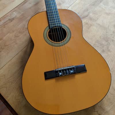 CF Martin Conservatore Model C100 Late 70's image 6