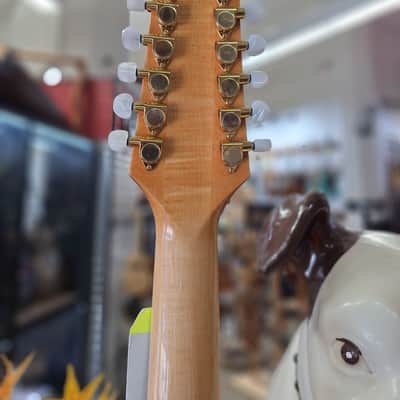 Takamine GD74CE-12U 2025 - Gloss Natural Brand New in the Box image 8