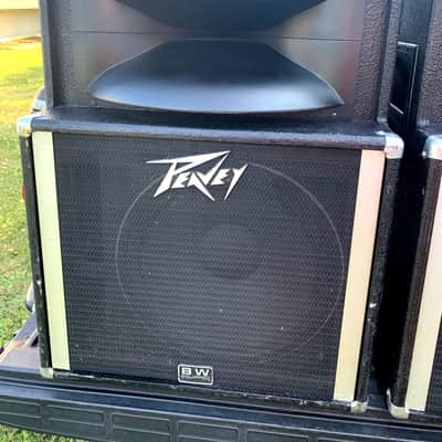 Peavey SP-2 Black Widow Full Range Speakers (pair) image 6