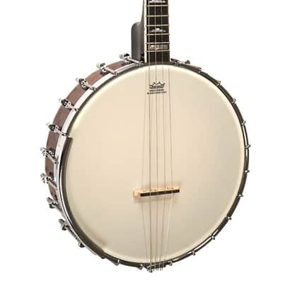 Gold Tone Model IT-250 Irish Tenor 4-String Open Back Banjo with Case image 1