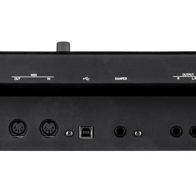 Korg Multi/Poly Analog Modeling Synthesizer Module image 4