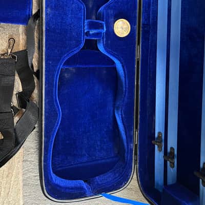 violin case. Full size image 2
