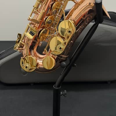 Buffet Crampon SAXO ALTO SENZO BC2525 - 7B - 0 image 4