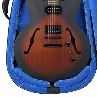 Reunion Blues RBCSH Continental Voyager Semi-Hollow Body Electric Guitar Case image 9