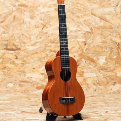 Koaloha KCM-02 Concert Longneck 2022 image 3
