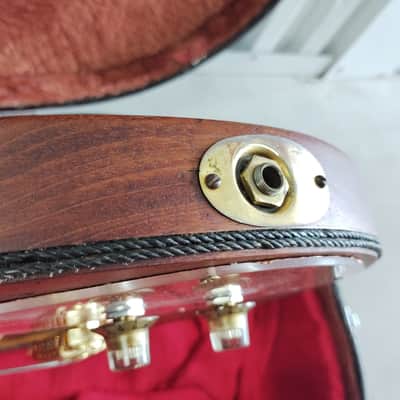Premier Scroll Guitar image 7