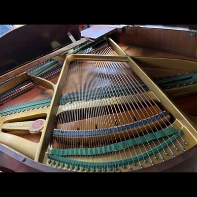 Schimmel 5' Baby Grand Piano - Classic German Craftsmanship image 6