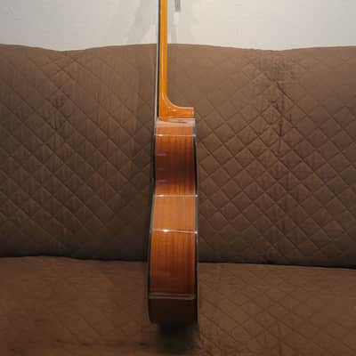 Washburn AF5K Apprentice Series Folk Body Spruce Top Mahogany Neck 6-String Acoustic Guitar w/Hard Case image 4
