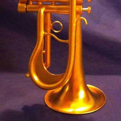 Monette Flumpet 2008 - Gold 24k image 3