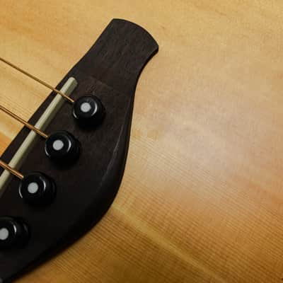 Ibanez AWB 50CE Acoustic Bass w/ Bag image 8