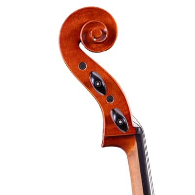 Goffriller Cello 4/4 from One Piece Back - Hand-Made in Romania 2025 #99 image 9