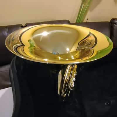 ✨ C.G Conn CHR401 Double French Horn 📯 F/Bb Pro-Features ✨ image 7
