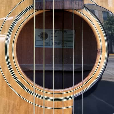 Vintage MIJ EARLY 1970s Epiphone FT-130 Caballero(?) w/ Case Pro Setup, Very Good Condition~*SALE*~*See Video* image 4