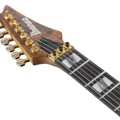Ibanez RGT1220PB-ABS Premium RGT Electric Guitar 6-String - Antique Brown Stained + Gig Bag image 9