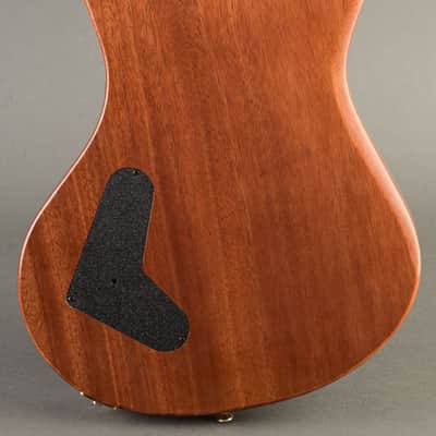 Baldacci Bighorn Semi-Hollow 2020, Sunburst image 7