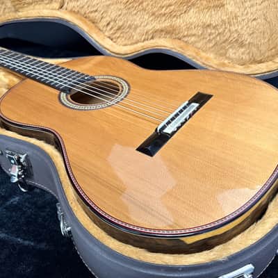 Manuel Adalid Homenaje - Cedar Double top/Solid Ziricoté back/sides - Handmade in Spain - 2025 image 17