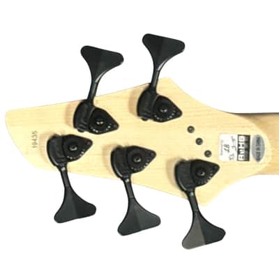 Dingwall Combustion 5 (3 Pickup), Whalepool Burst / Maple *IN STOCK* image 11