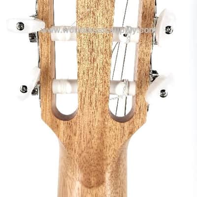 Taylor Taylor 214ce-N Nylon Rosewood Grand Auditorium Acoustic-Electric Serial #: 2209295494 image 8