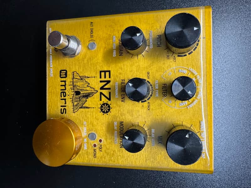 Meris Enzo