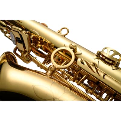 Jupiter JAS1150Q Altsaxophon - Alto Saxophone image 2